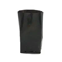 گلدان نایلکسی