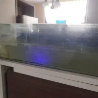 آکواریوم با پمپ هوا و ماهی