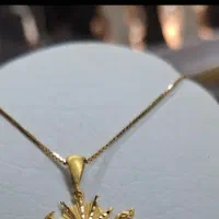 گردنبند و پلاک طلا گمشده