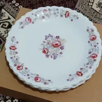 اکروپال پلوخوری