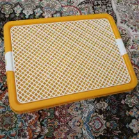 سینی ادرارسگ