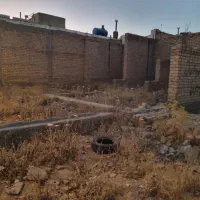 اسکلت ۱۵۰ متری