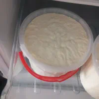 ماست گوسفندی درجه یک کاملا بهداشتی
