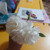 معلم خصوصی