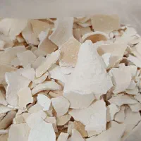 لبنیات محلی ارگانیک