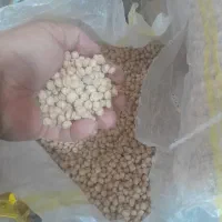 نخود ممتاز کرمانشاه  باقیمت مناسب