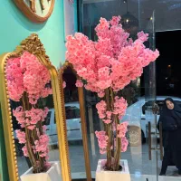 آینه های مینی مال گل گیاه