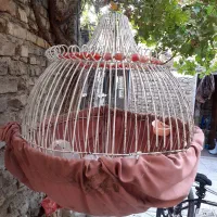 قفس پرنده