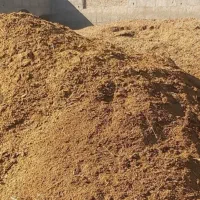 کود گوسفندی