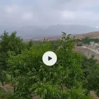 باغ و بیشه با آب