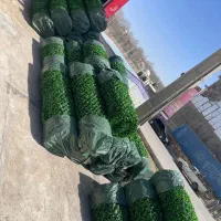 چمن آسیا|خدمات باغبانی و درختکاری|شیراز, دوکوهک|دیوار