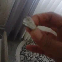 طلا گم شده