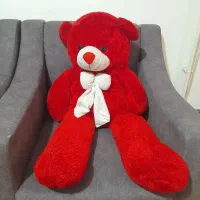 فروش خرس بزرگ