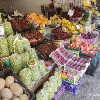 مغازه اجاره ای فقط برای میوه فروشی