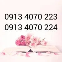 09134070223
