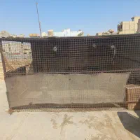 قفس آهنی بزرگ