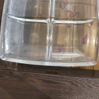 اردو خوری ایتالیایی سالاد خوری فرانسه