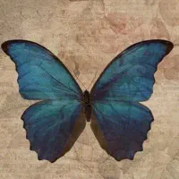 خیاطی تخصصی و تعمیرات لباس
