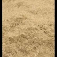 کاه  چغندر   ذرت علوفه