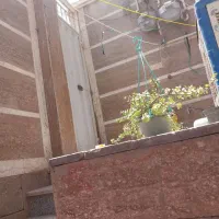 اجاره زیر زمین مسکونی