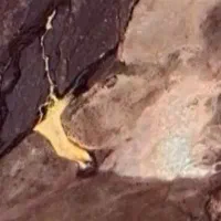 فروش معدن طلا و مواد آلی