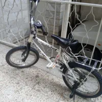 سایز16
