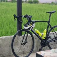 دوچرخه کورسی جاینت ادونس
