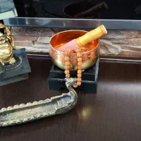 جا عودی پلیستر