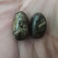 مهره پوست ماری