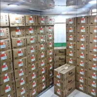 انواع آبگرمکن دیواری بوتان  طرح تعویض و نقدی