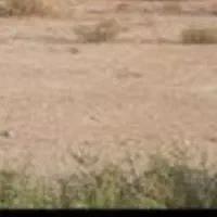زمین-فاز-6قطعه-25مهر-شهر