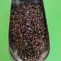 تک دان قهوه