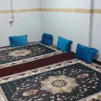 سوییت  ۵۰ متری