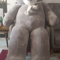 خرس دو متر و نیمی غول پیکر