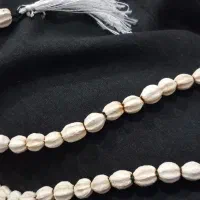 فسیل