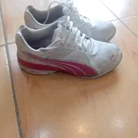 سایز 39.38 اصل پ و م ا