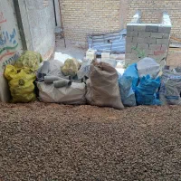 اتصالات پولیکا