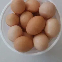 تخم مرغ محلی