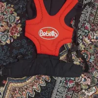 آغوشی نونو