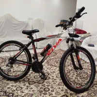 دودوچرخه ۲۶ ویوا