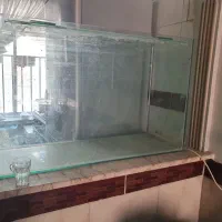 آکواریوم