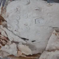 نان خشک