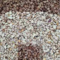 لوبیا چیتی آشی