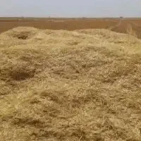 6باک کاه گندم