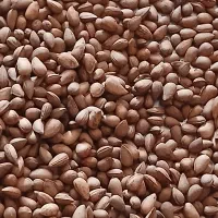 فروش بادام کوهی