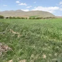 اجاره زمین کشاورزی