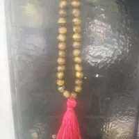چشم ببر