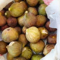 میوه