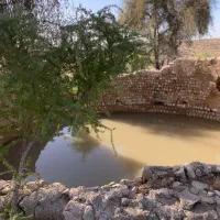 فروش هیزم کرت وکهور