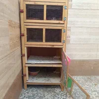 جفت کن کفتر